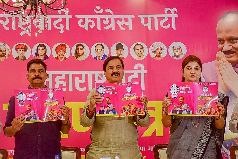 2024 Maharashtra Assembly elections photo_Rupali Chakankar
