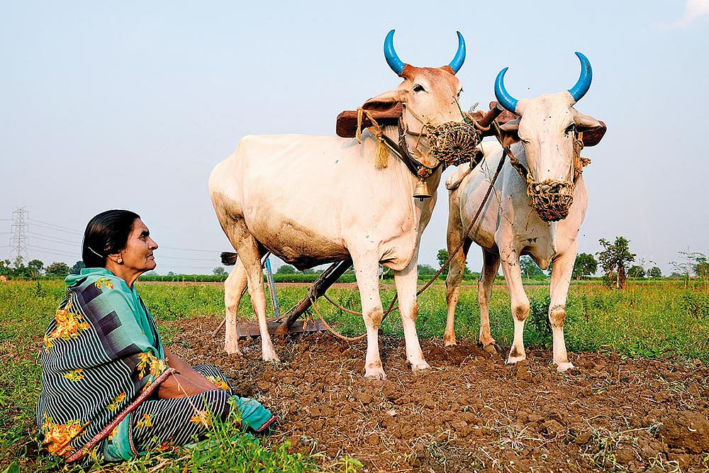State of Sorrow: The widow of Madhukarrao Patil