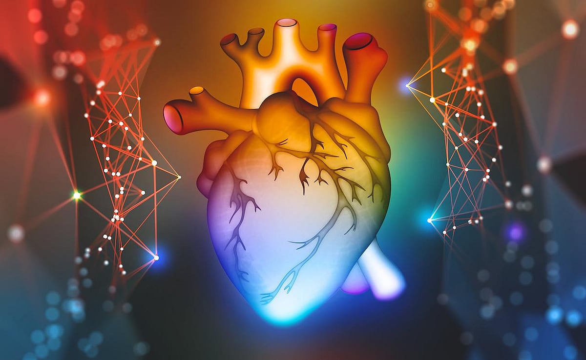 Medical Tourism & Organ Transplants In India: Affordable Life-Saving Surgeries