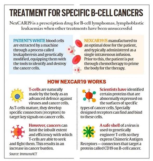CAR T-Cell Therapy