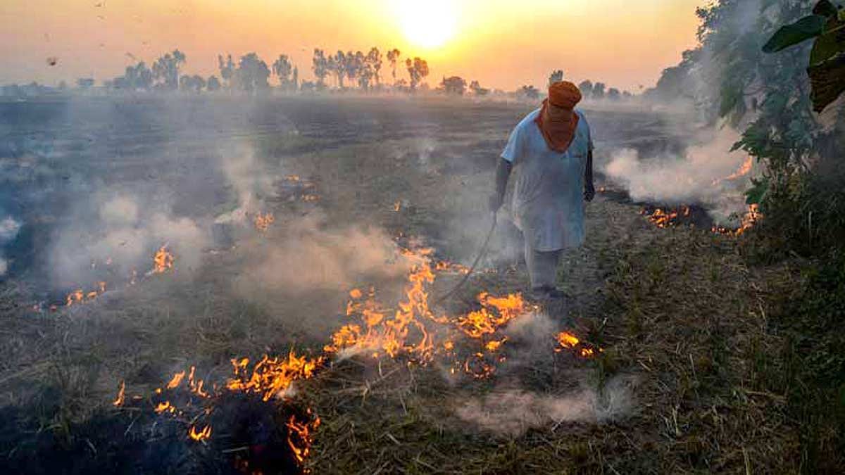 PTI : Stubble burning in Punjab, Haryana