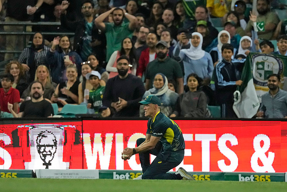 Australia vs Pakistan 2nd T20I Cricket in Sydney photos_Nathan Ellis