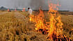 Stubble Burning Crisis And Delhi’s Air Emergency File Image : Stubble Burning
