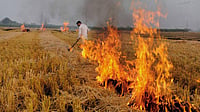 Stubble Burning Crisis And Delhi’s Air Emergency File Image : Stubble Burning
