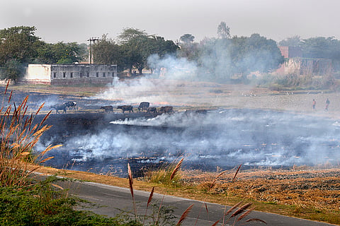 Air Pollution: Stubble burning near Agra-yamuna expressway