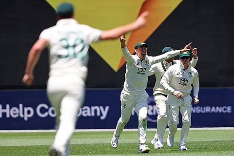 IND Vs AUS 1st Test, Day 1: Australia's players celebrate the wicket of India's Virat Kohli