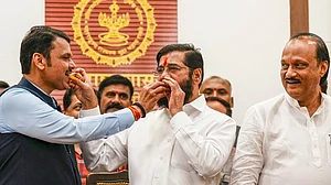 PTI : Mahayuti leaders (File Photo)