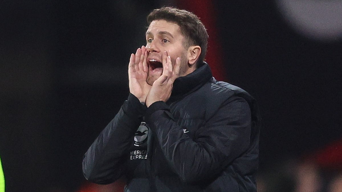Fabian Hurzeler unsurprised By Brighton's progress towards Champions League places.