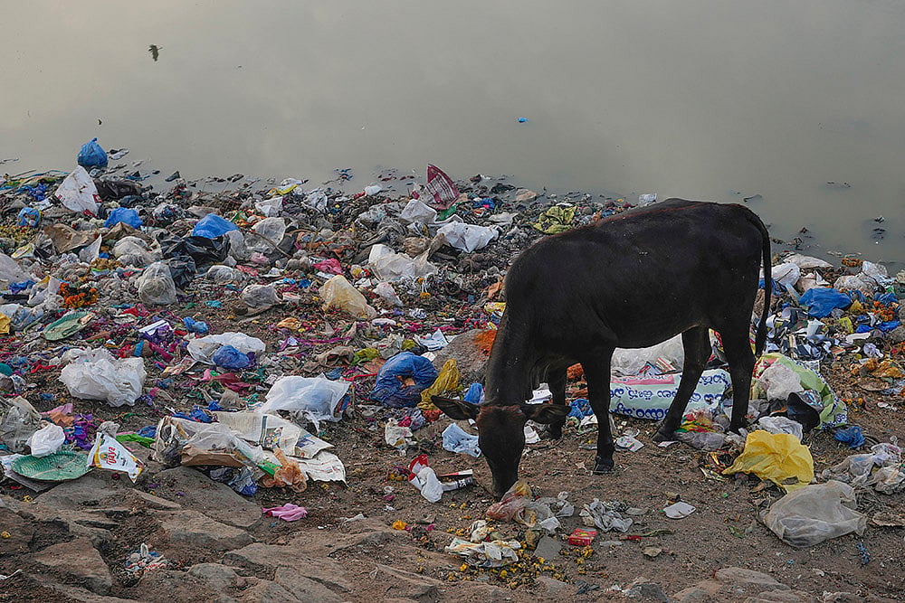 Plastic Pollution Photo Gallery: Hyderabad Plastic Pollution