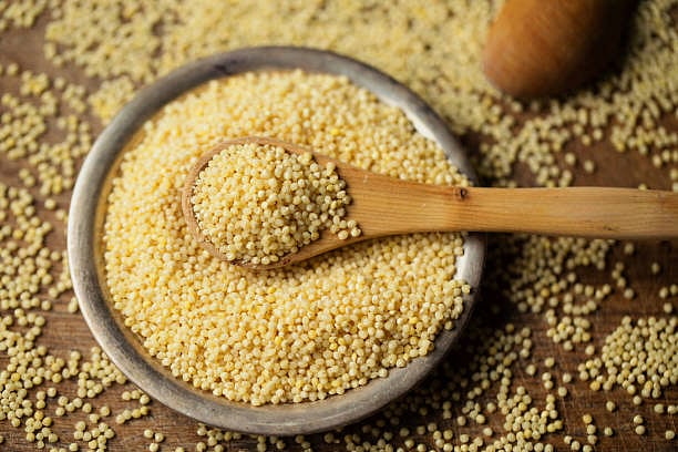 Millets Can Become India's Staple Diet: The Organic World