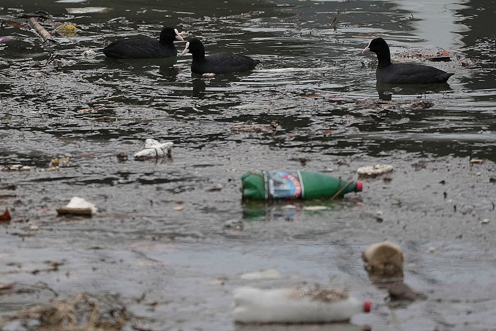 Plastic Pollution Photo Gallery: Belgrade, Serbia Plastic Pollution