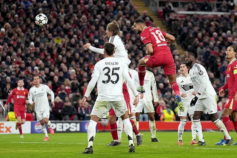 2024-25 UEFA Champions League soccer Liverpool Vs Real Madrid football gallery: Cody Gakpo