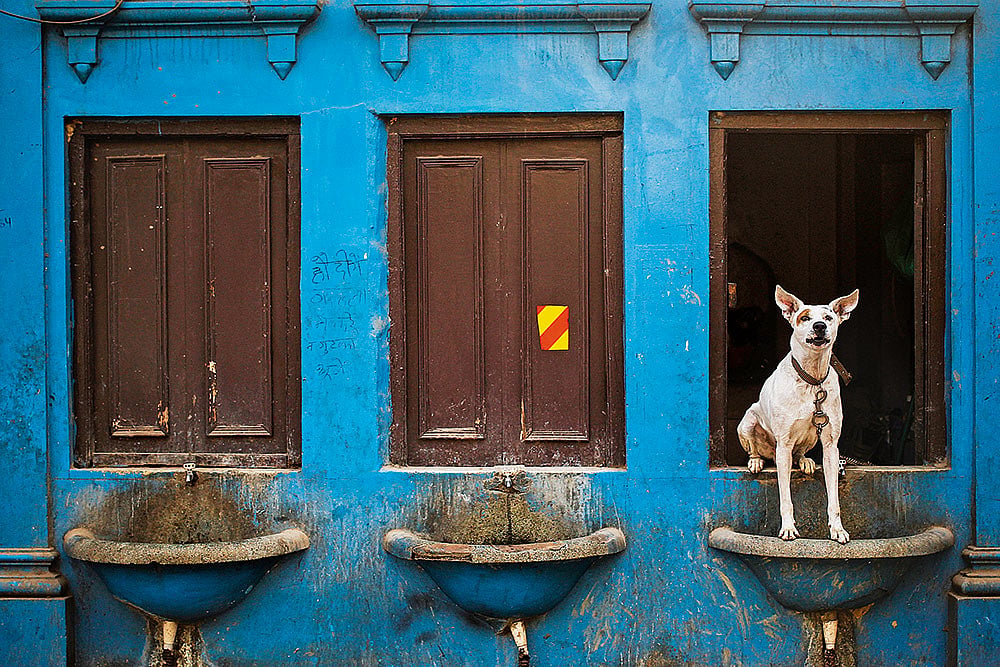 Delhi Street photography6