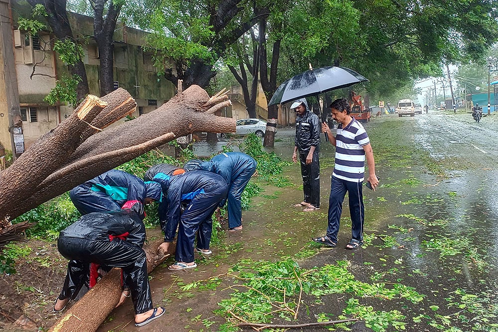 Aftermath of Cyclone Fengal landfall