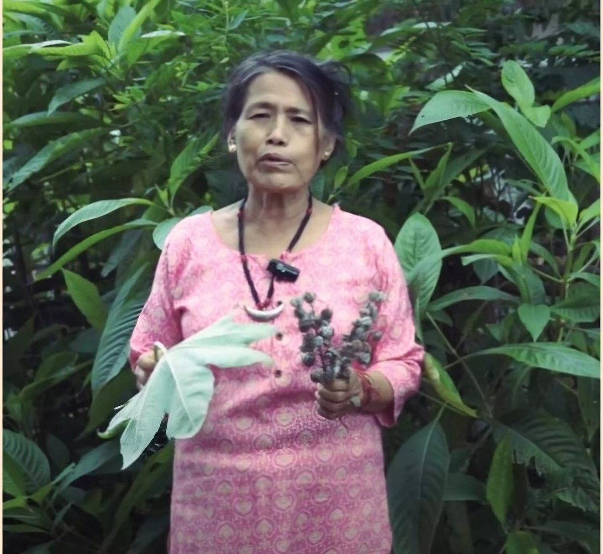 Arunachal’s ‘Herb Queen’ Reveals Jungle Secrets To Cure Diseases