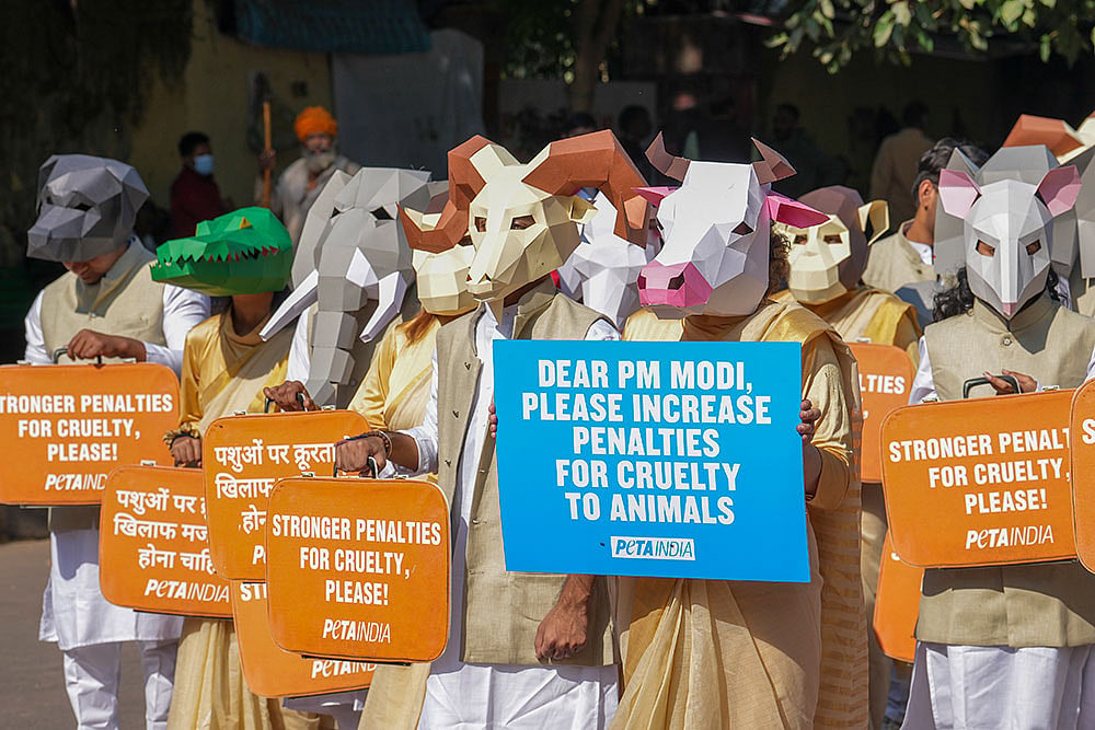 Protest for stricter penalties for animal cruelty