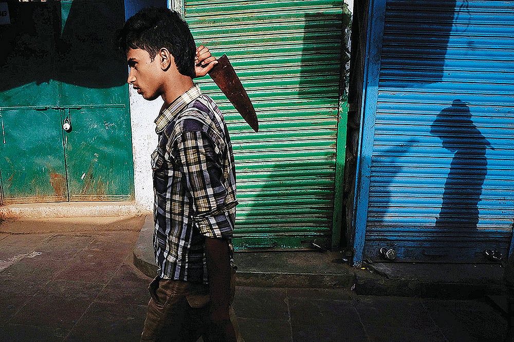 The Street Life: Snapshots from the Serendipity 
photo series 