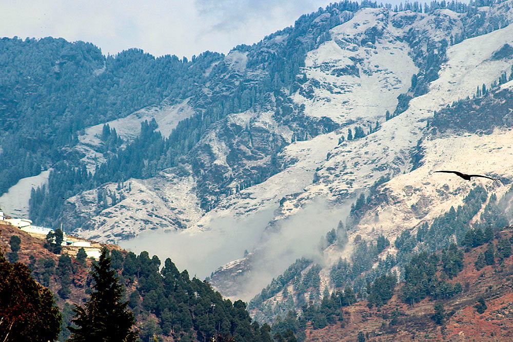 | Photo: PTI