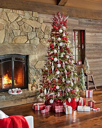 Choose the perfect Christmas tree