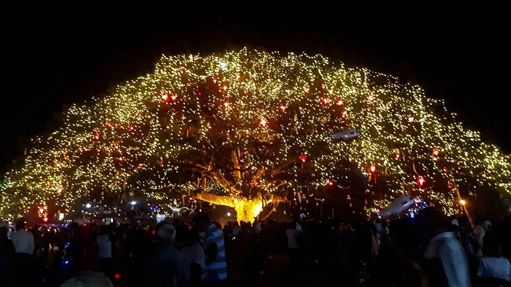 Cochin Carnival