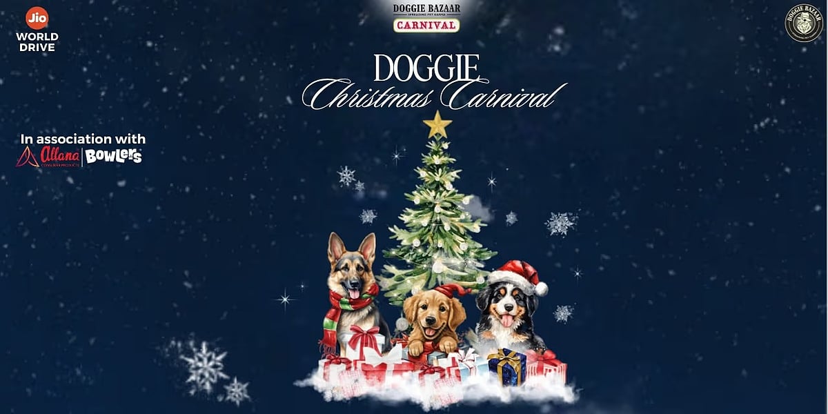 Doggie Christmas Carnival
