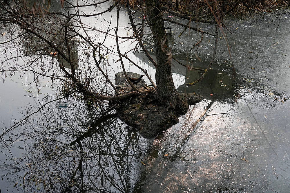 North India Weather winter season Cold wave in Kashmir valley in pics: 3