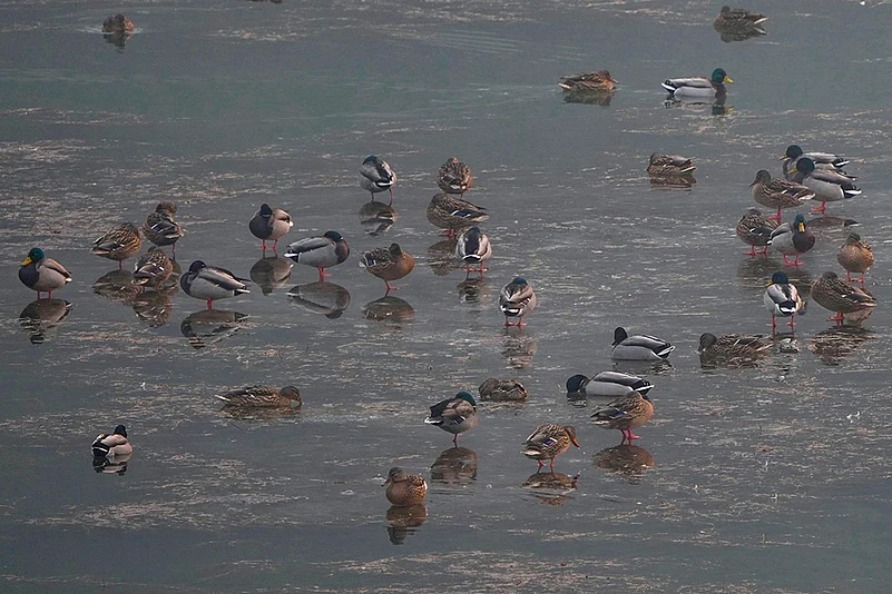 Kashmir winter weather Photo: Chillai Kalan begins in Kashmir_3