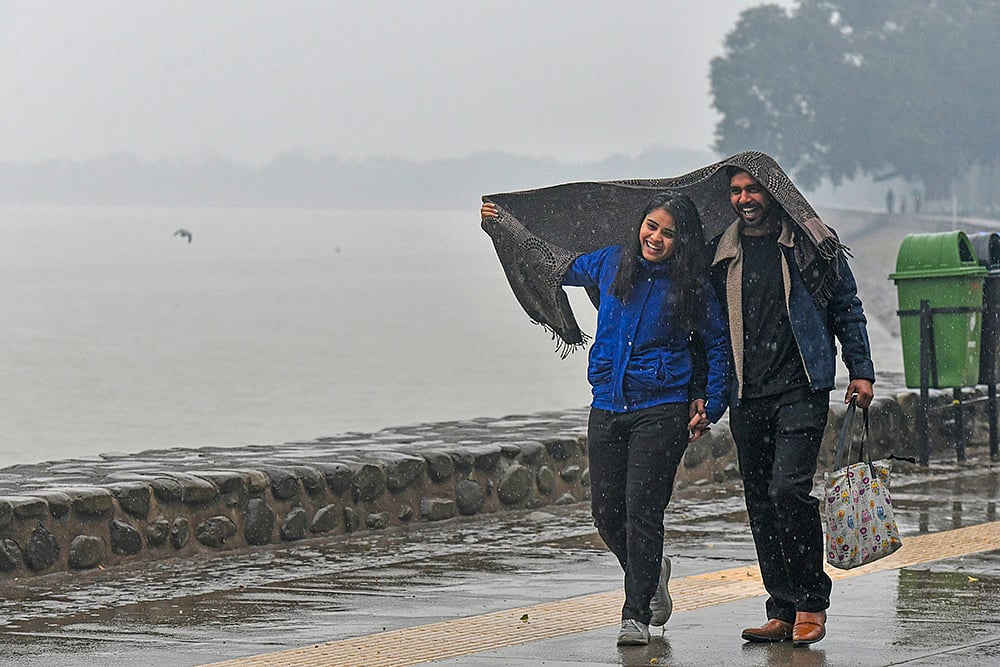North India winter weather: Mercury drops after rain in Haryana and Punjab