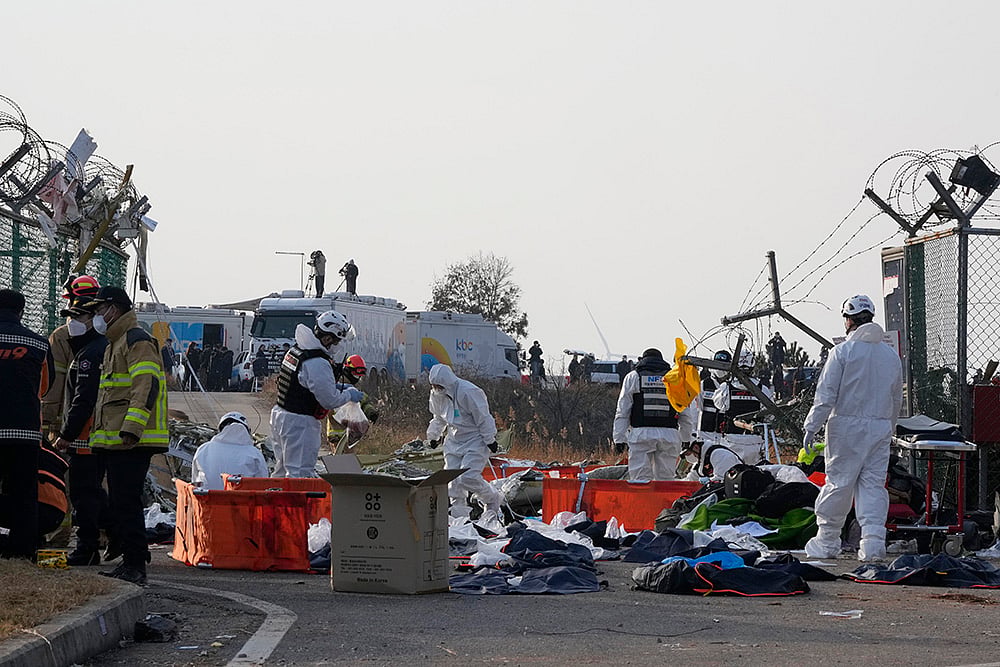 South Korea air accident Jeju Air jet crash photos: 6