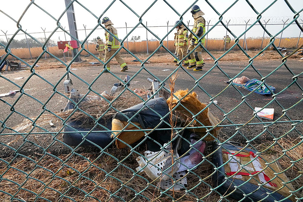 South Korea air accident Jeju Air jet crash photos: 5
