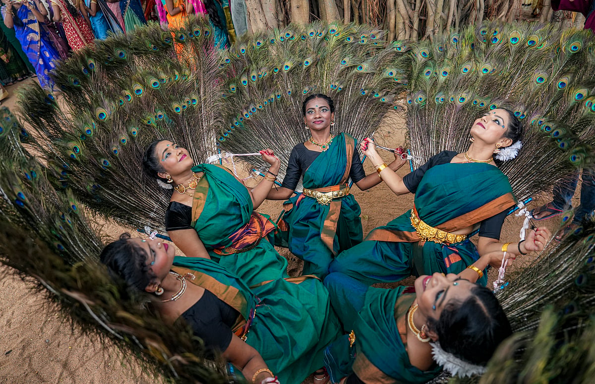Pongal festival