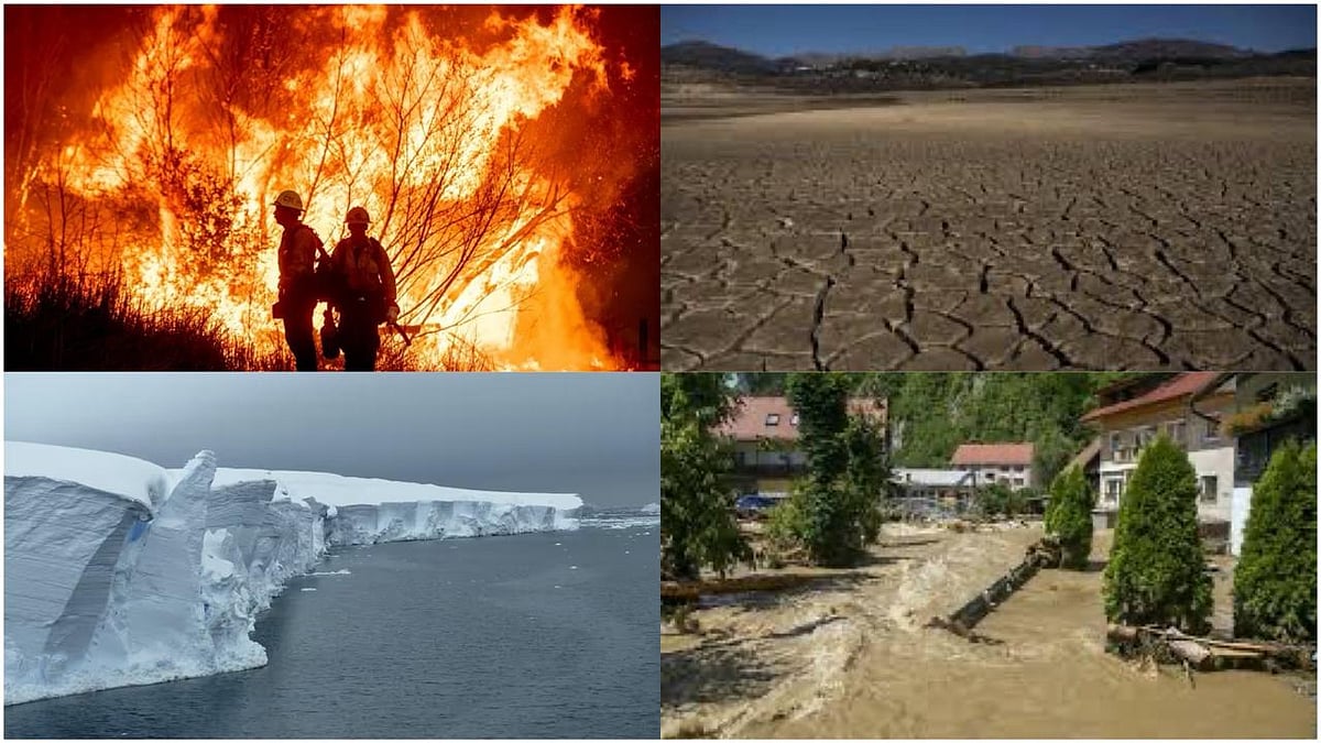 AP : Held in Belém, COP30 was expected to deliver the long-awaited global roadmap for phasing out fossil fuels. 