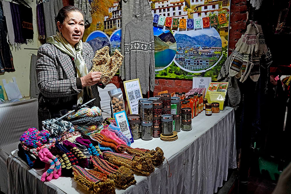 Him Mahotsav at Dilli Haat INA Market in Delhi: 10
