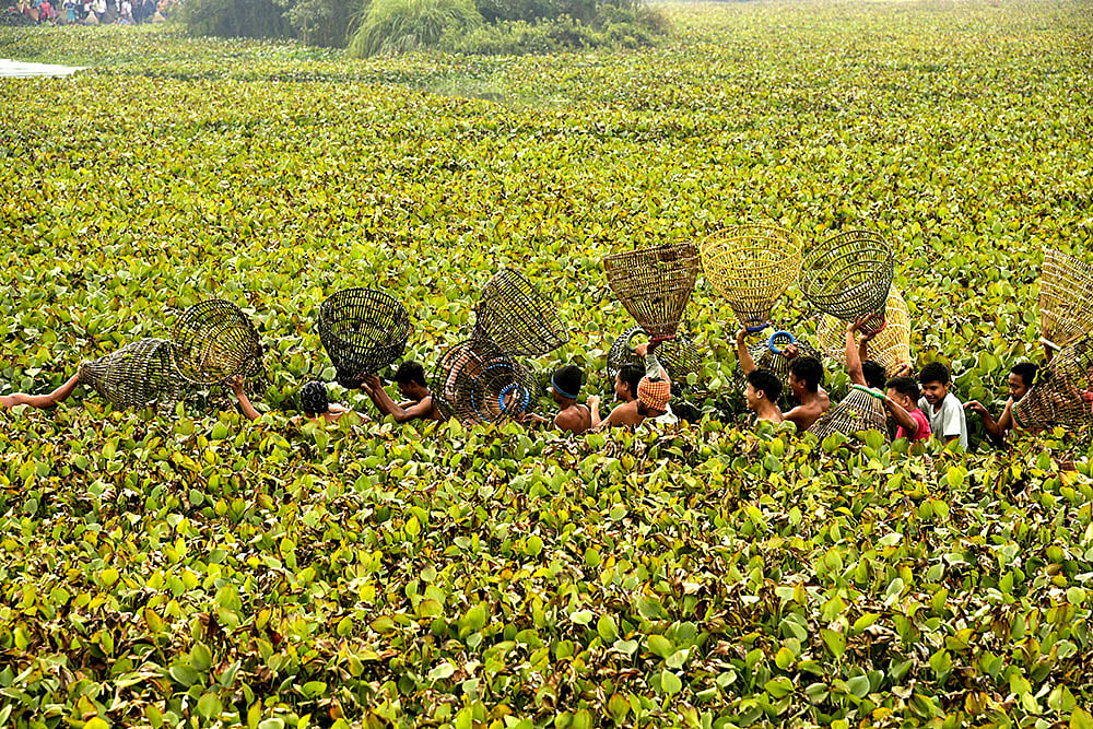 Magh Bihu celebrations
