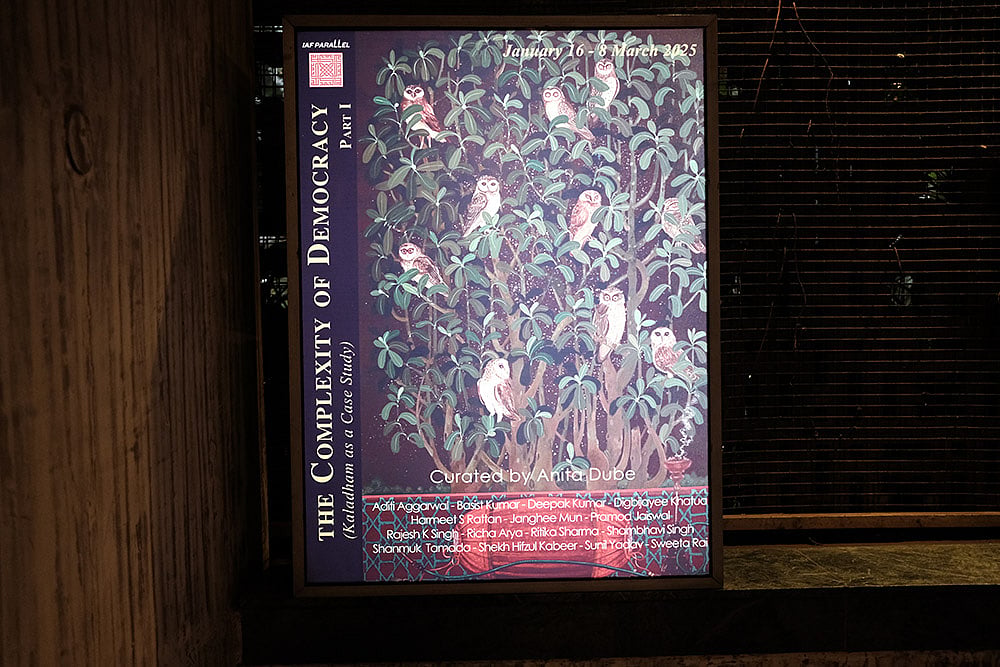 The poster of The Complexity of Democracy