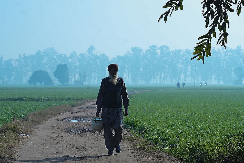Not Alone: A farmer at the Khanauri border protest site 