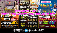 2025년 2월 국내 토토사이트 순위