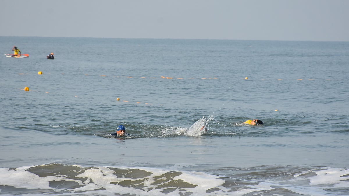 Den Den 2025 Sea Swimming Championship