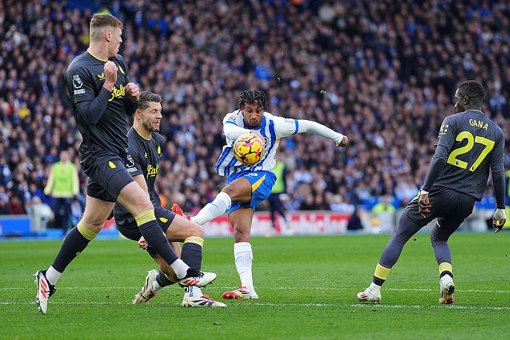 Premier League 2024-25: Brighton & Hove Albion vs Everton