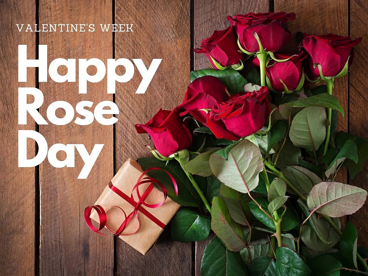 Rose Day