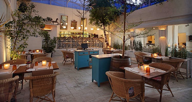 Olive Bar & Kitchen
