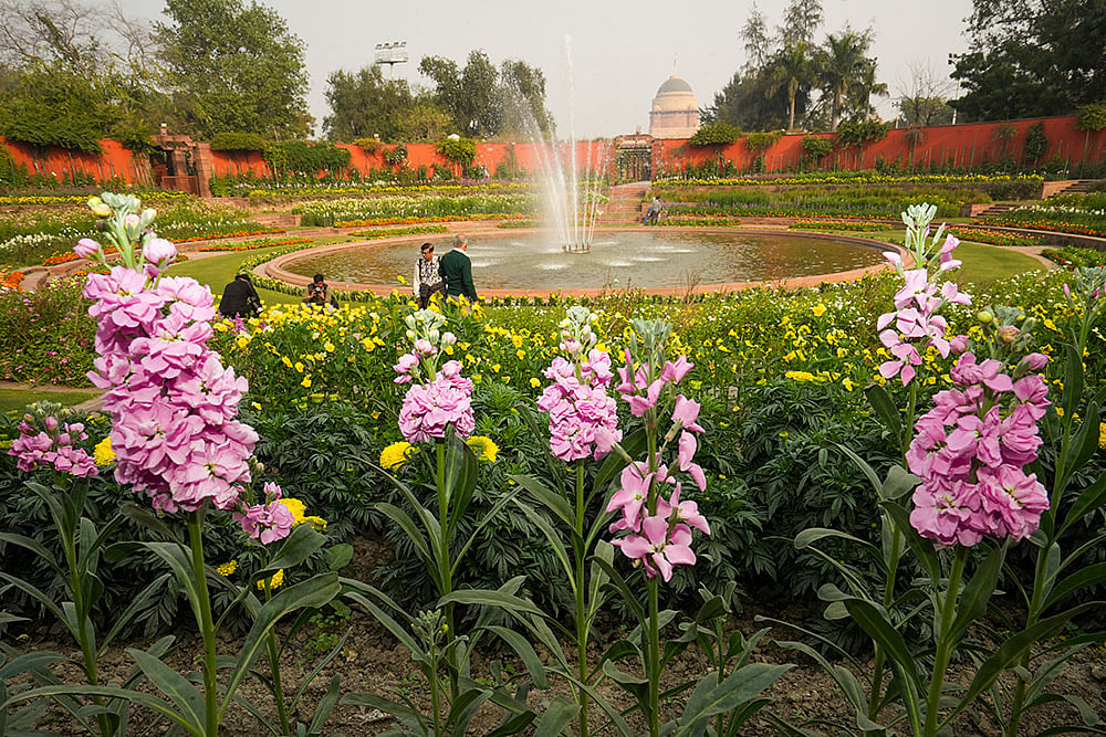 Amrit Udyan at Rashtrapati Bhawan to be opened