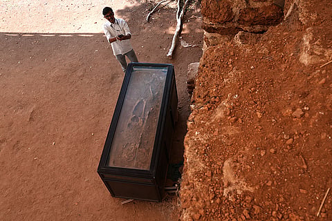 The skeleton of a man who lived in 16th century. He was around 20 years old and did not have one arm. This skeleton is on display at Kottappuram fort.
