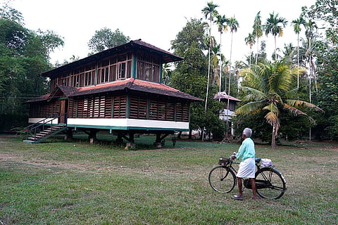 This is the site of Pattanam project, where excavations have happened.