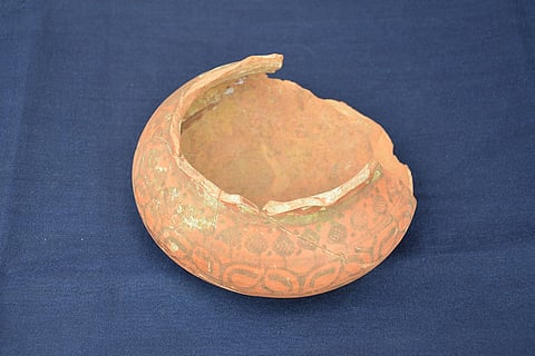 Rakhigarhi Excavation