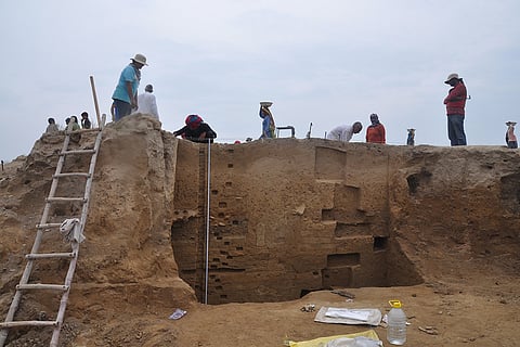Botanical sample taken from these trench at mound no 6