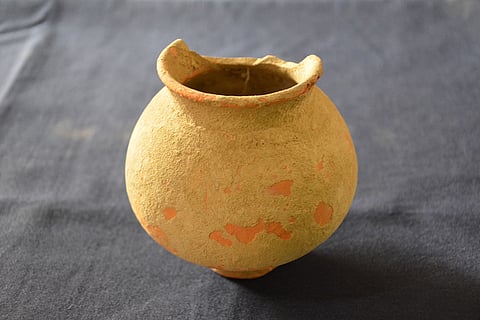 Rakhigarhi Excavation
