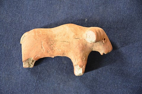 Rakhigarhi Excavation