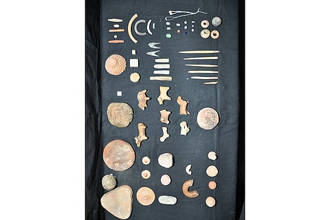 Rakhigarhi excavation