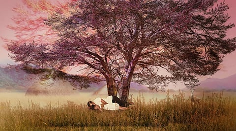 A still from 'Khartoum'